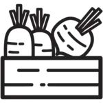 Raccolta e preparazione