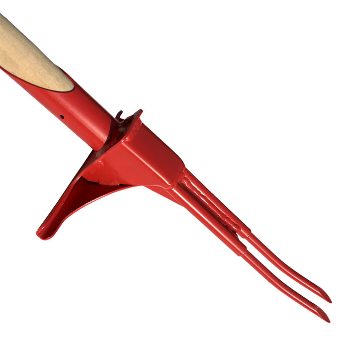 Forca da romice - immagine 2